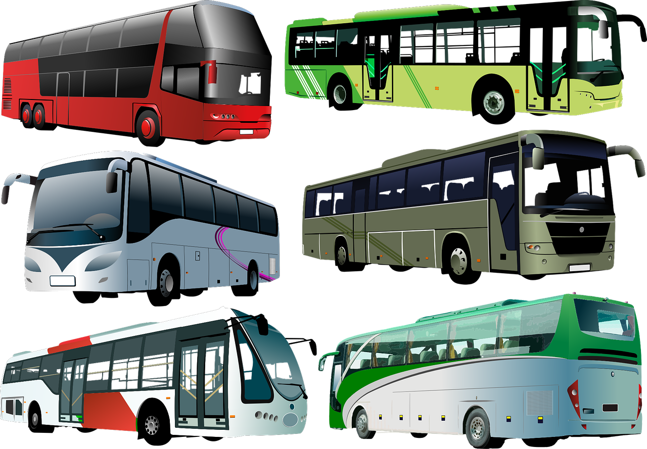 city bus, tourist bus, transport